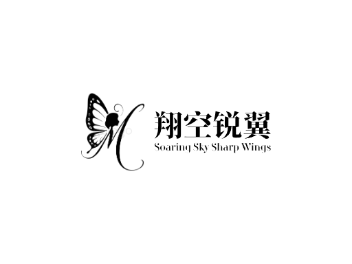 翔空锐翼翅膀Logo标志设计