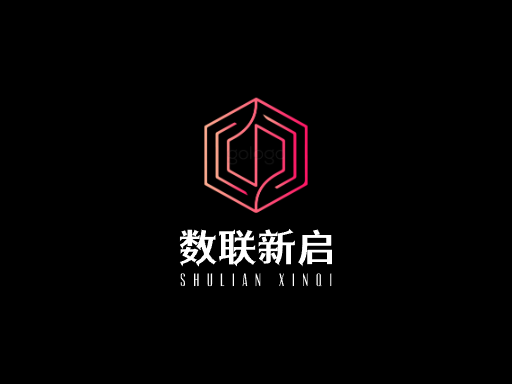 数联新启上线Logo标志设计