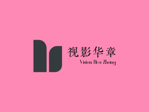 视影华章视频Logo标志设计