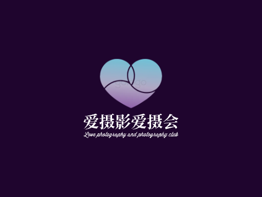 爱摄影爱摄会快手Logo标志设计