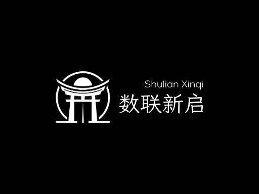 数联新启上线Logo标志设计