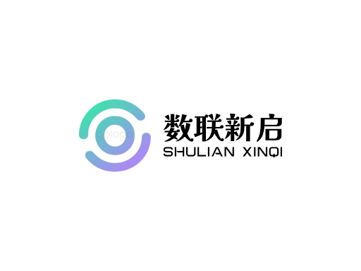 数联新启上线Logo标志设计