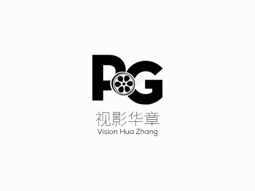 视影华章视频Logo标志设计