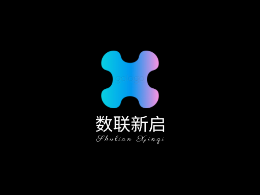 数联新启上线Logo标志设计