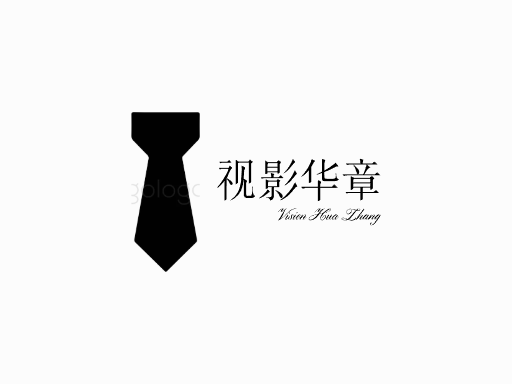 视影华章视频Logo标志设计