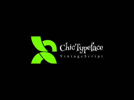 ChicTypeface创意字体Logo标志设计