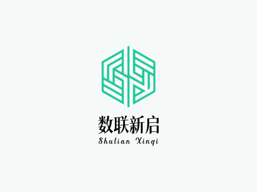 数联新启上线Logo标志设计