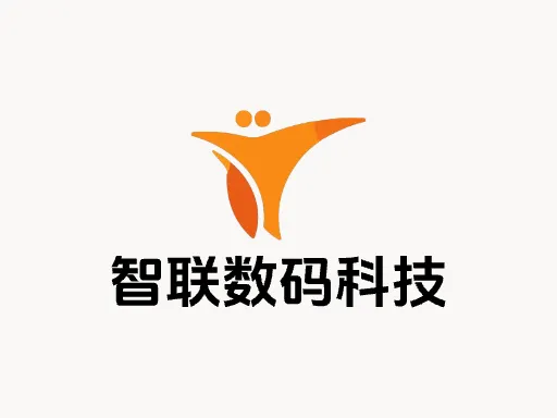 智联数码科技Logo标志设计