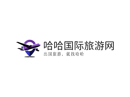 哈哈国际旅游网公司Logo标志设计