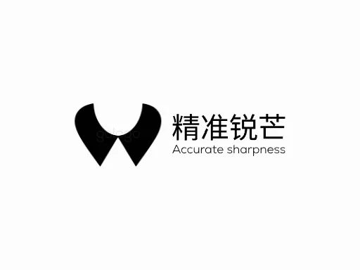 精准锐芒公司logo设计