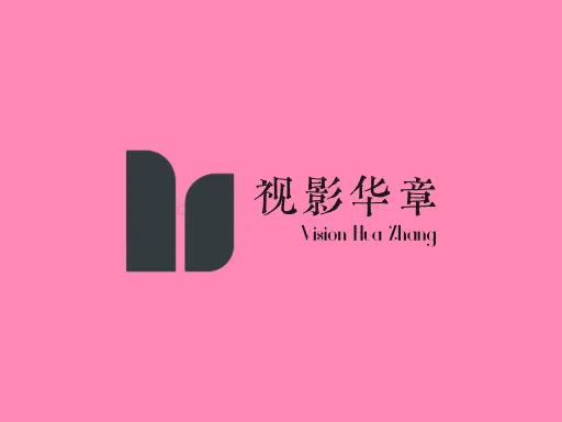 视影华章店铺logo头像设计