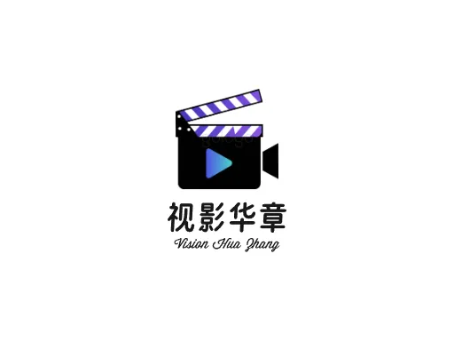 视影华章公司logo设计