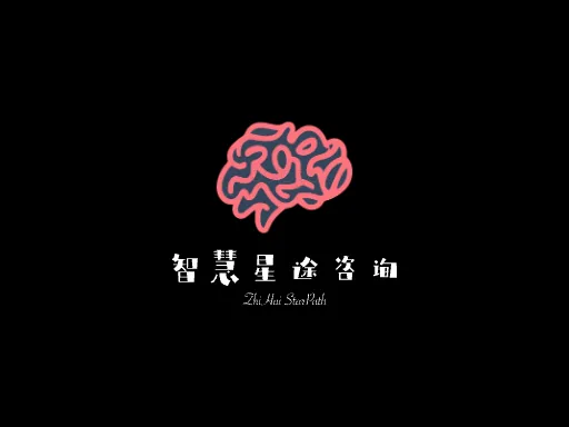 智慧星途咨询品牌logo设计