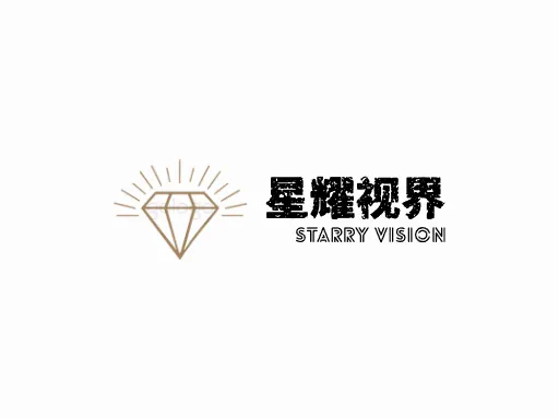 星耀视界品牌logo设计