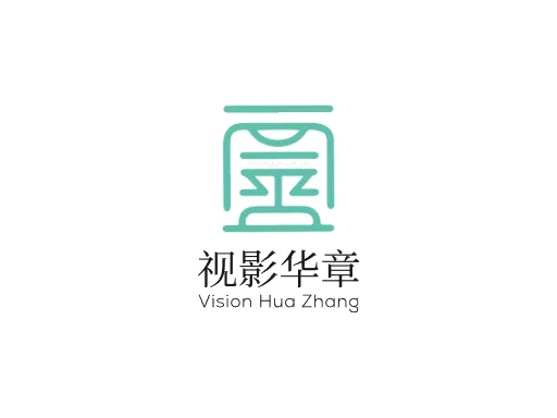 视影华章Logo标志设计