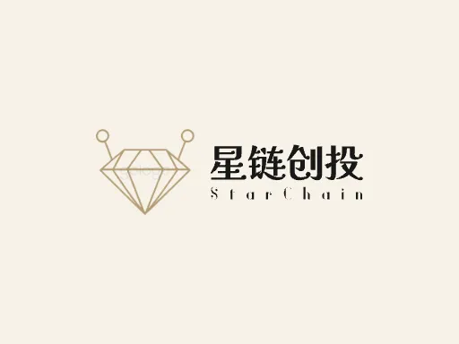 星链创投店铺标志设计